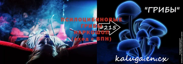 метадон Алексин