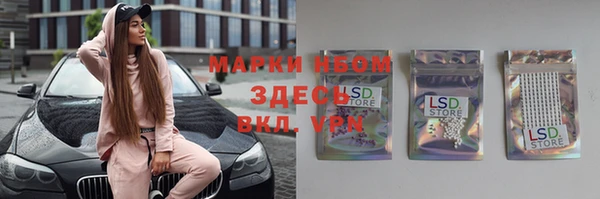 спиды Алзамай