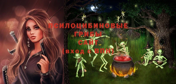 спиды Алзамай