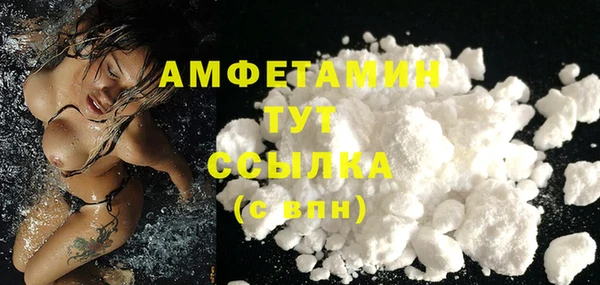 метадон Алексин