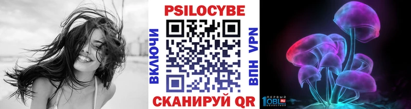 наркотики  Динская  нарко площадка формула  Псилоцибиновые грибы MAGIC MUSHROOMS 